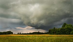 17802_Fotograf_Birgitte Strunge_Storm Cloud_